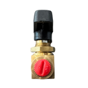 VALVULA DE BOLA DE 2 VIAS 1/4" NPT-H 2,500 PSI