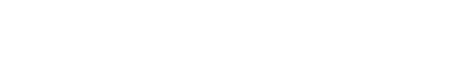 GEARMAX PRO